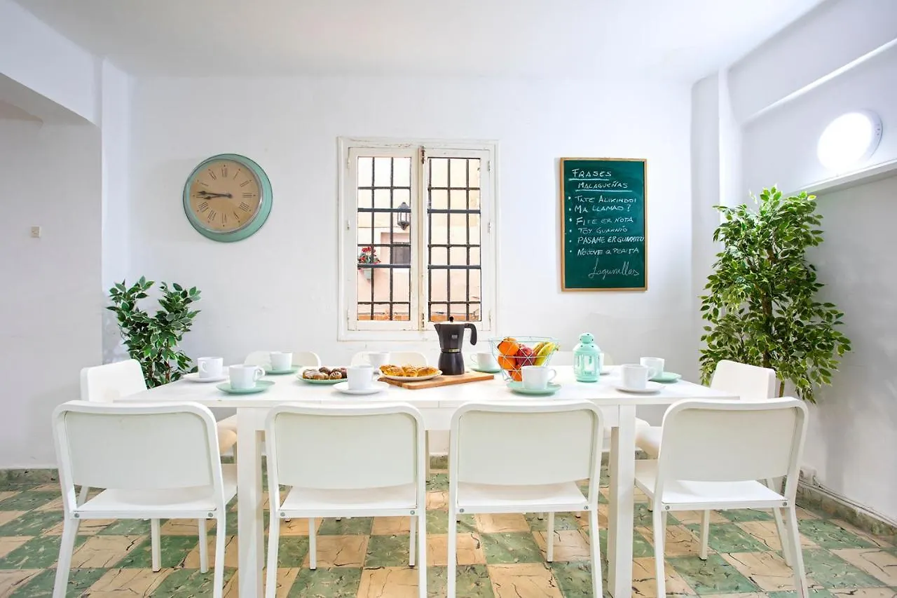 Big Flat In City Center With Patio Malaga