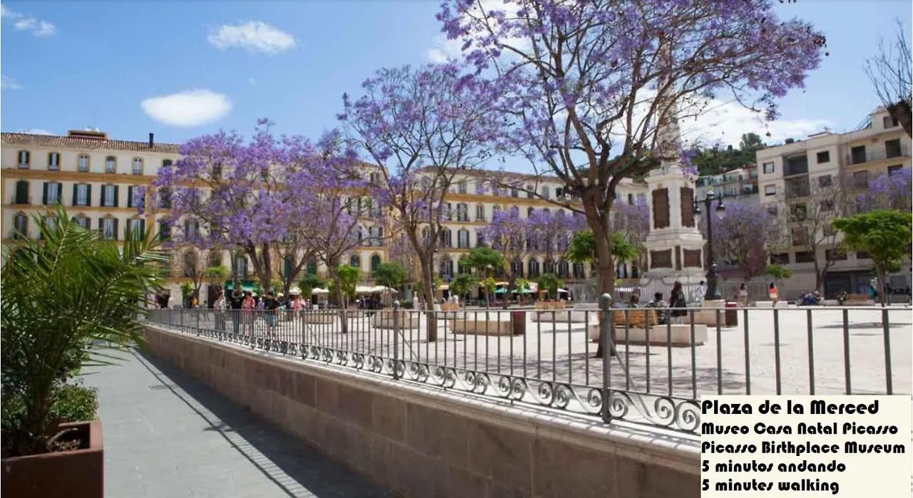 Big Flat In City Center With Patio Malaga Apartment